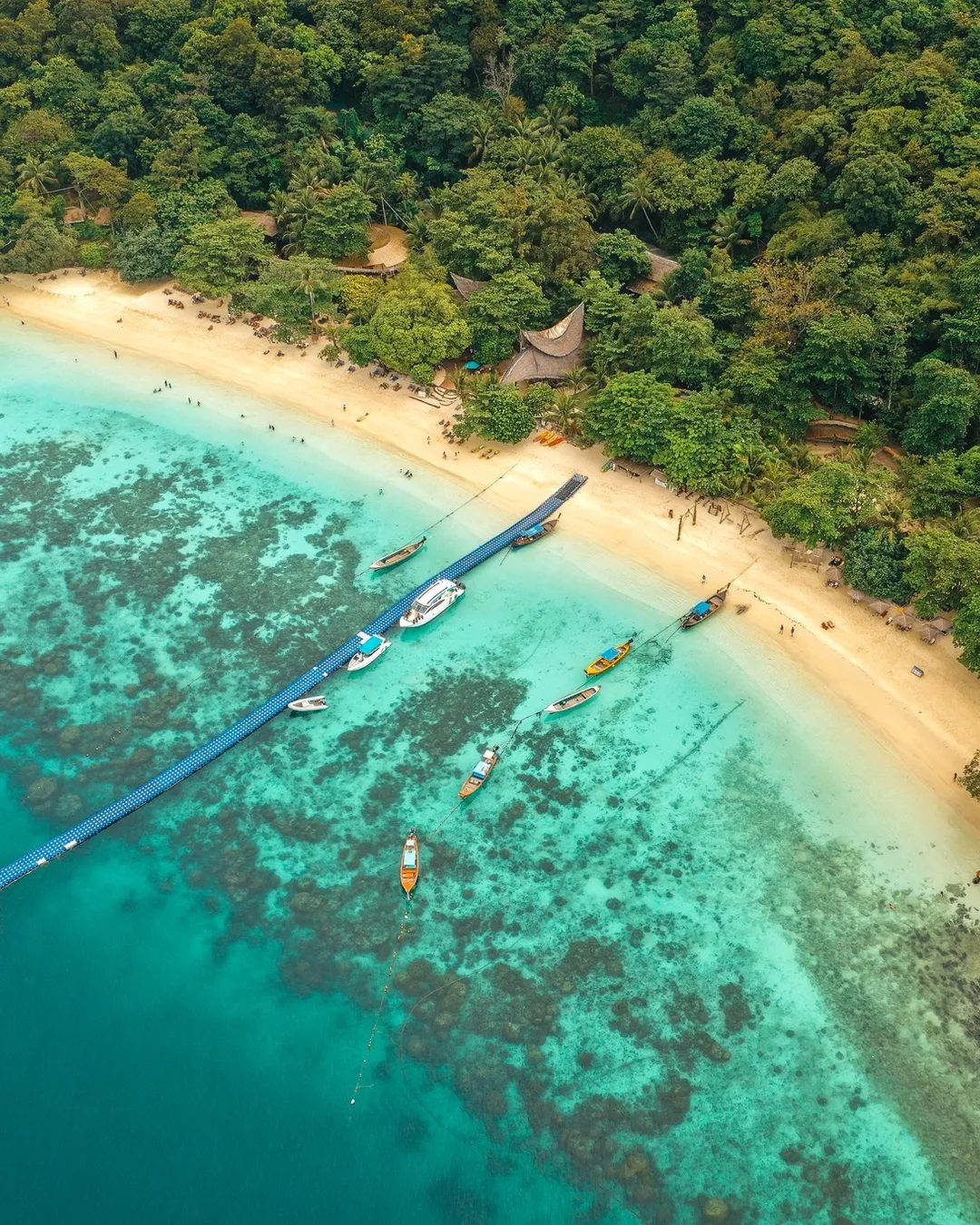 Coral Island