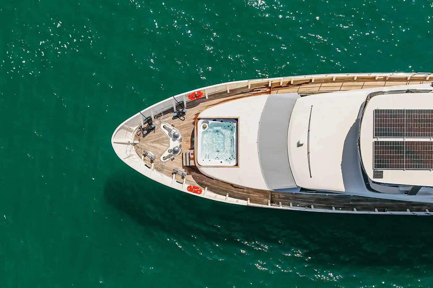 Beluga 88 photo 2