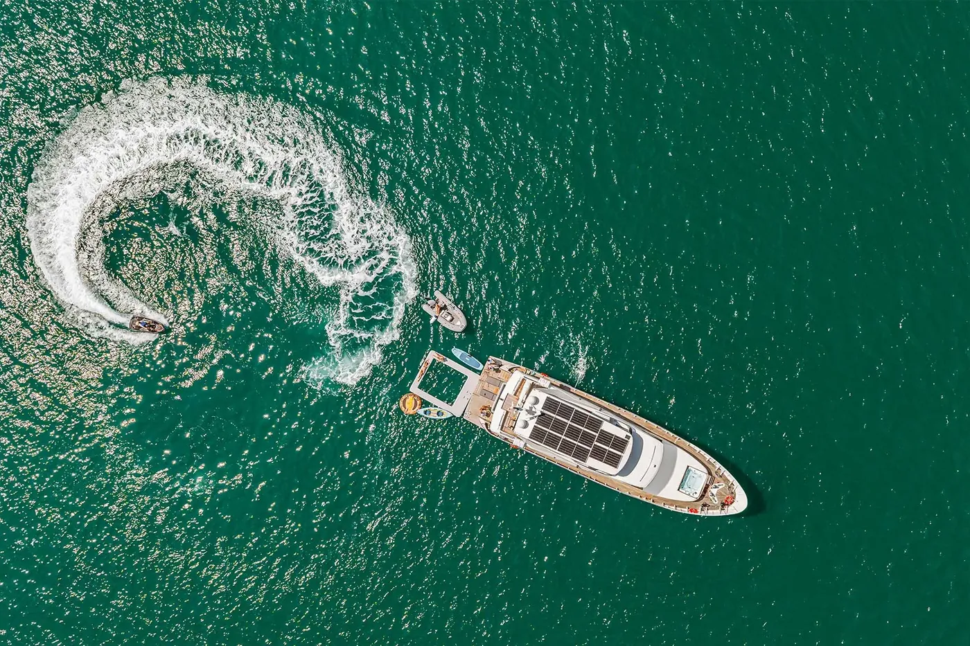 Beluga 88 photo 5